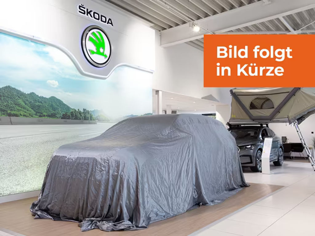 Skoda Kodiaq 2023 Benzine