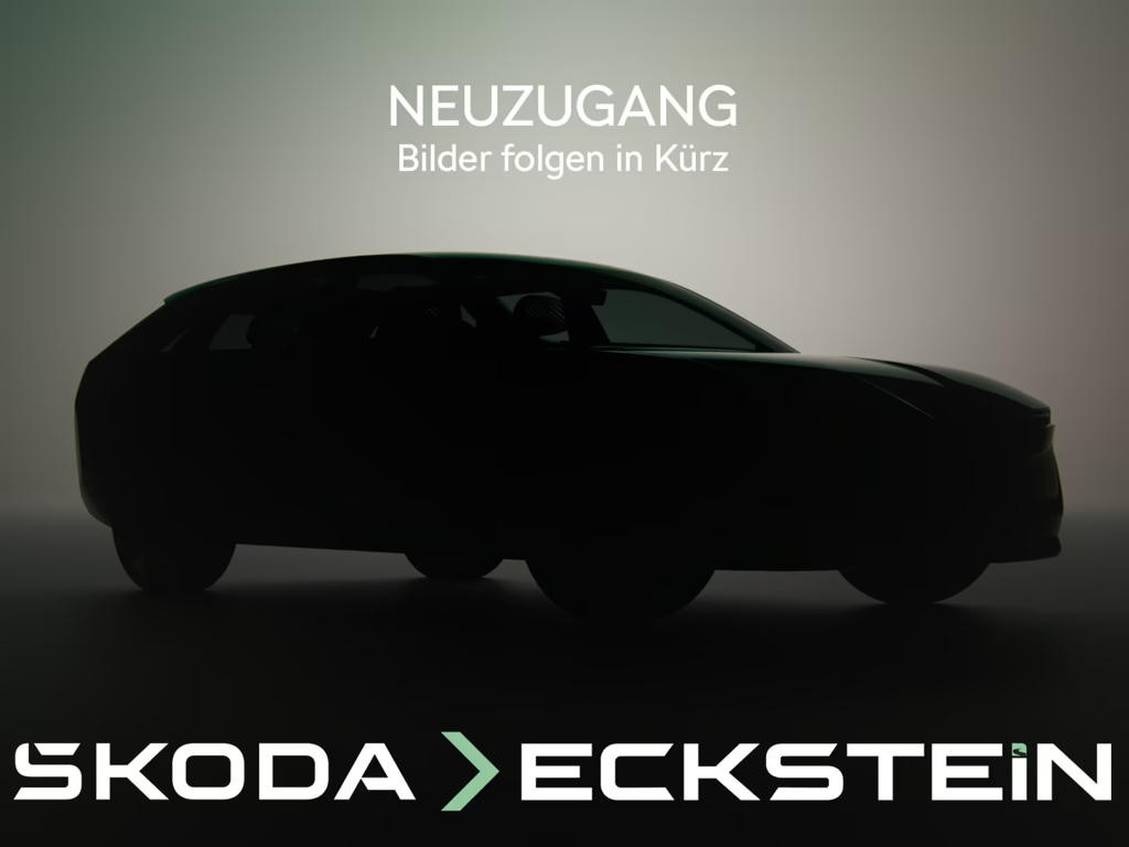 Skoda Kamiq 2021 Benzine