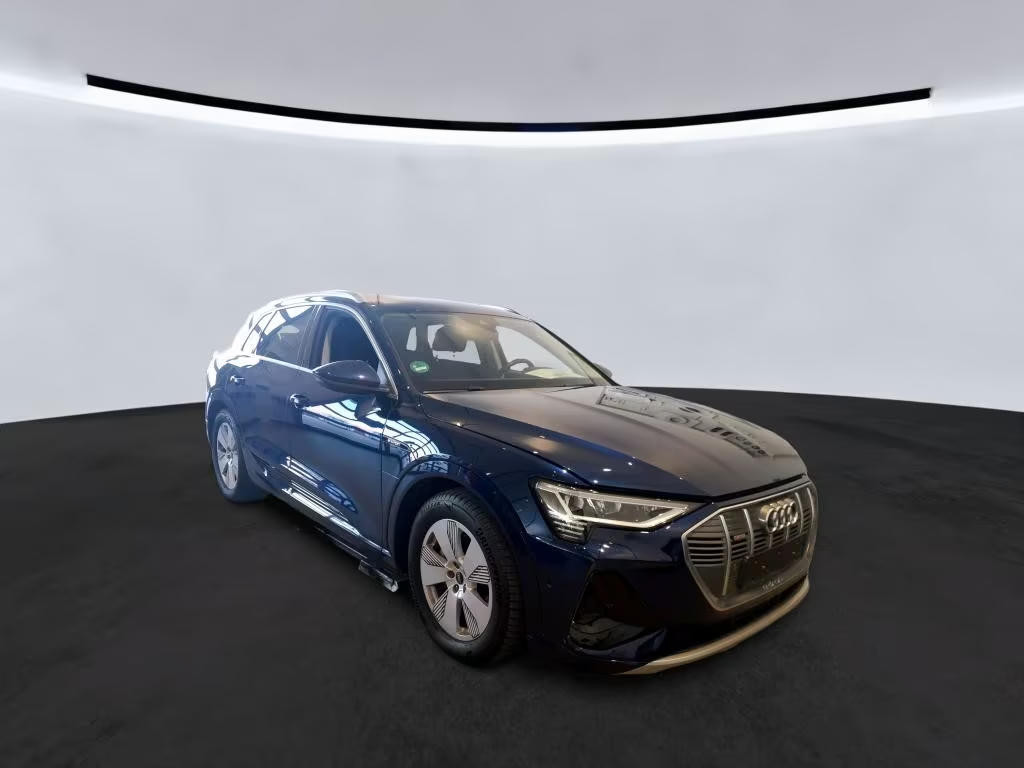 Audi e-tron 2023 Elektrisch
