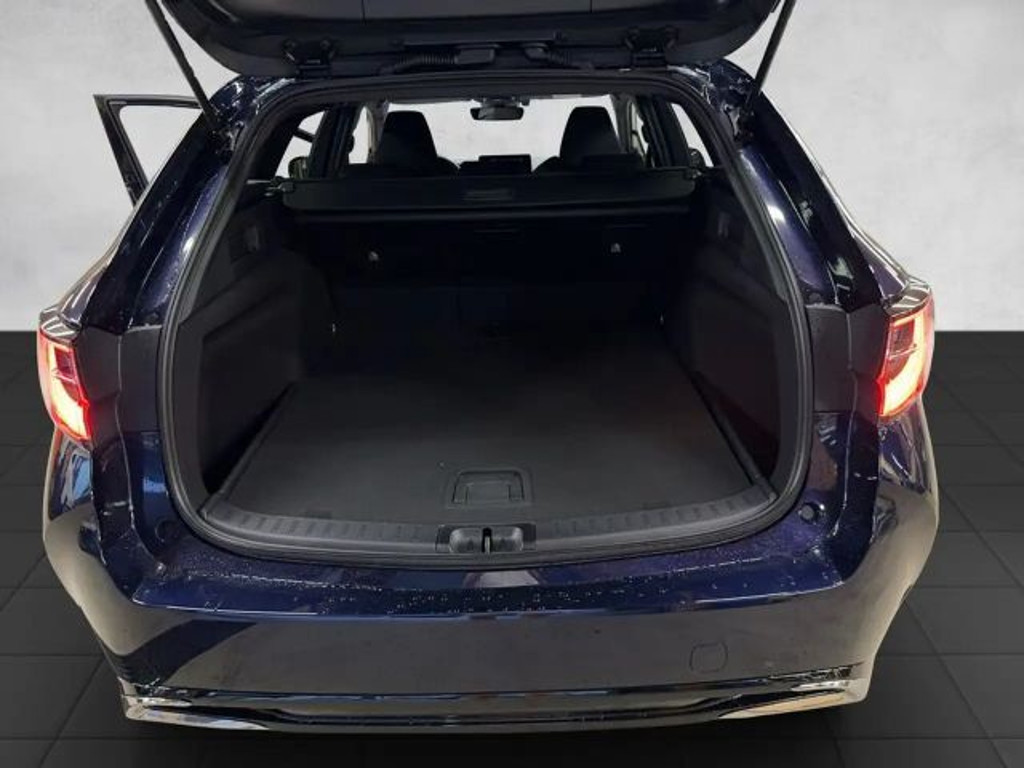 Suzuki Swace