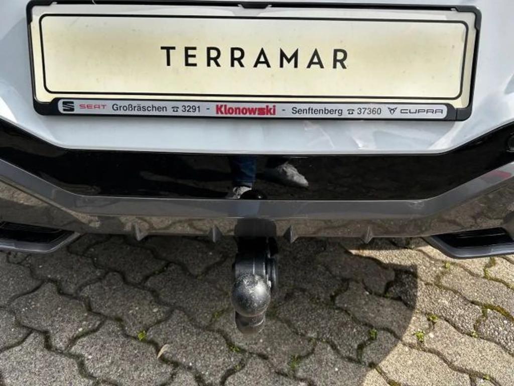 Cupra Terramar