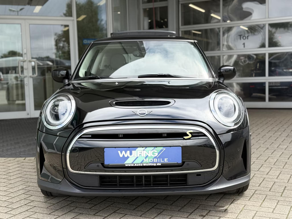 Mini Mini Electric