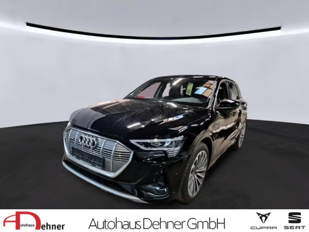 Audi e-tron 2022 Elektrisch