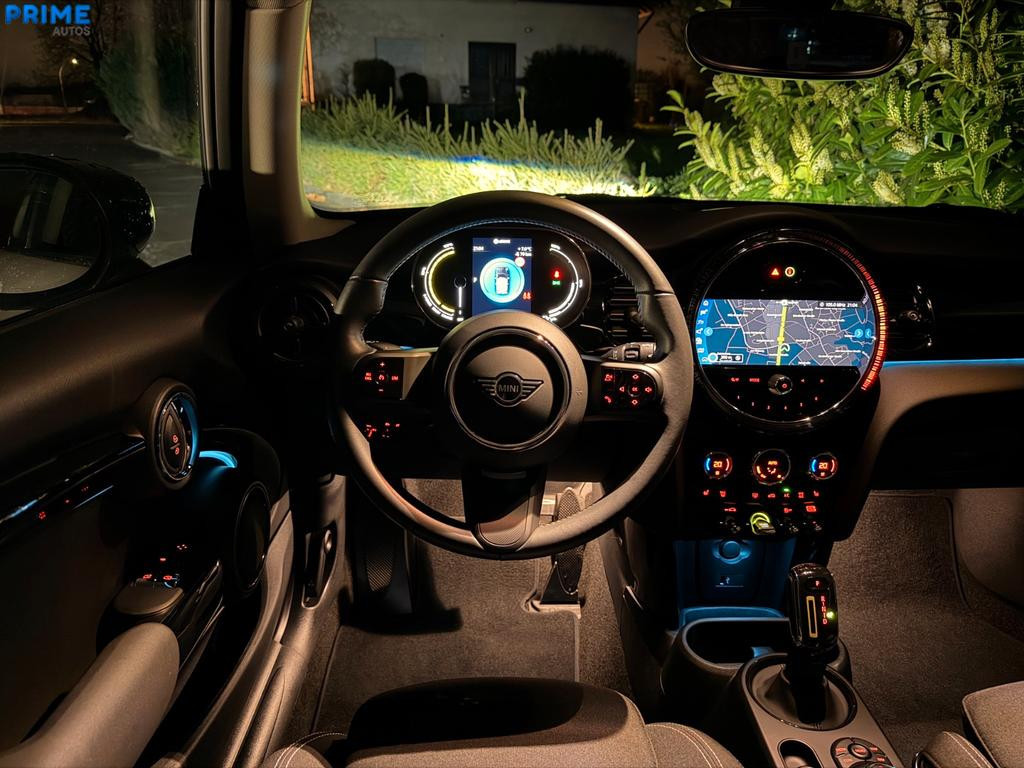 Mini Mini Electric