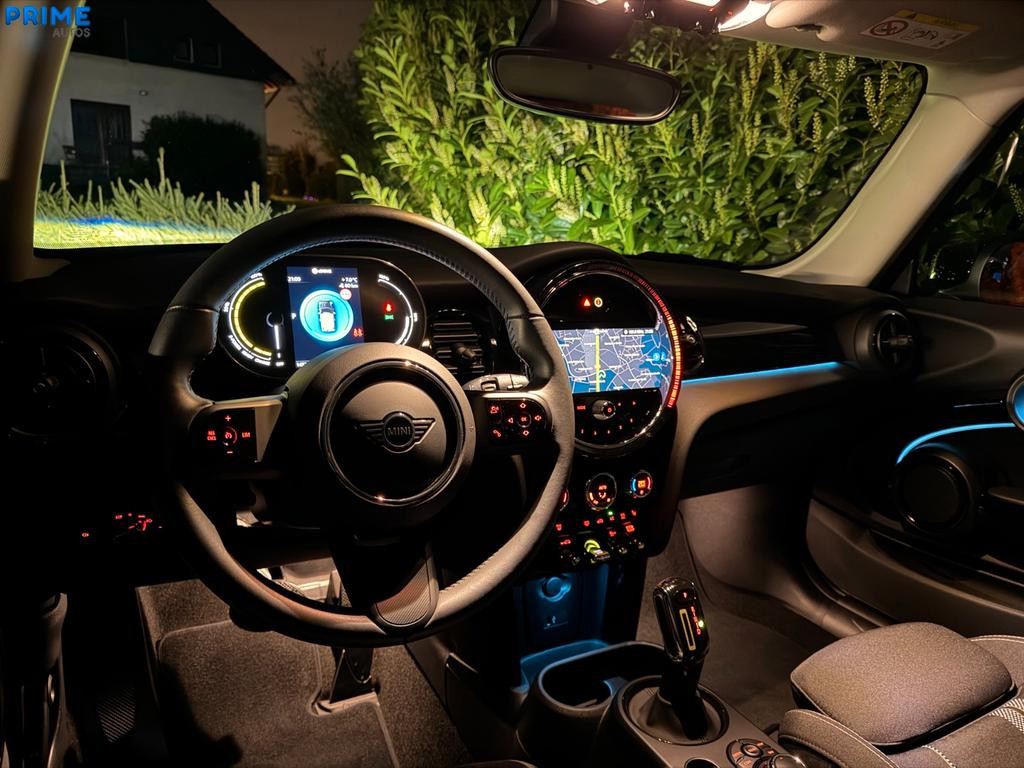 Mini Mini Electric