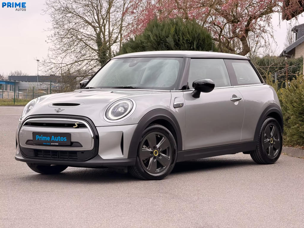 Mini Mini Electric