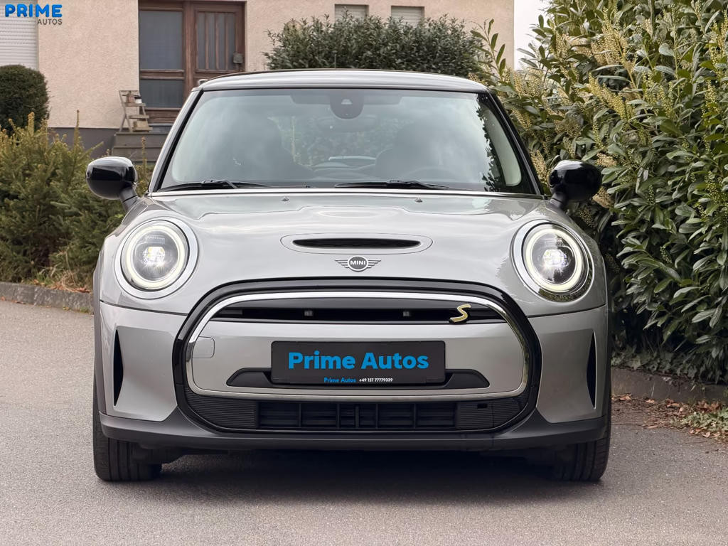 Mini Mini Electric