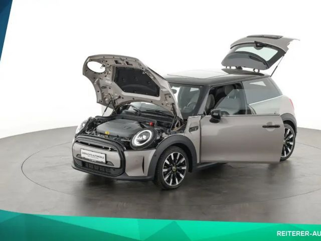 Mini Mini Electric