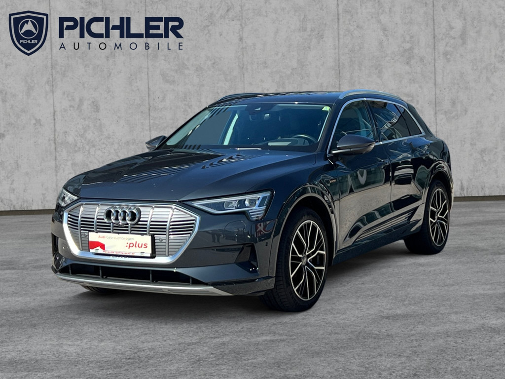 Audi e-tron 2022 Elektrisch