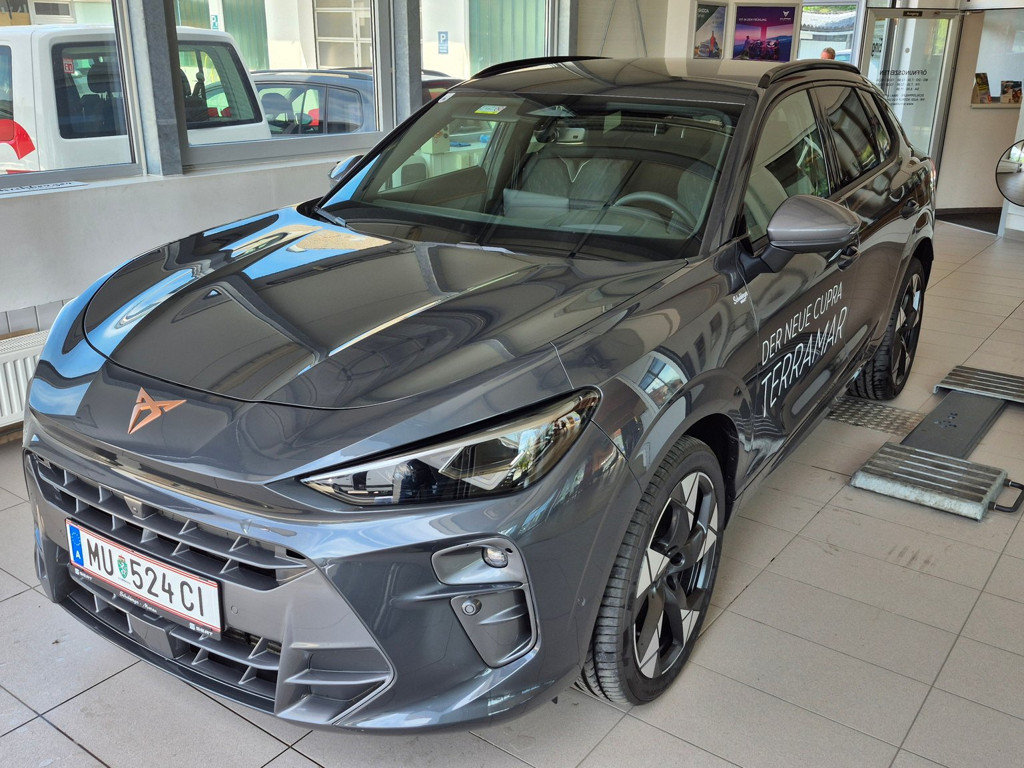 Cupra Terramar 2025 Benzine