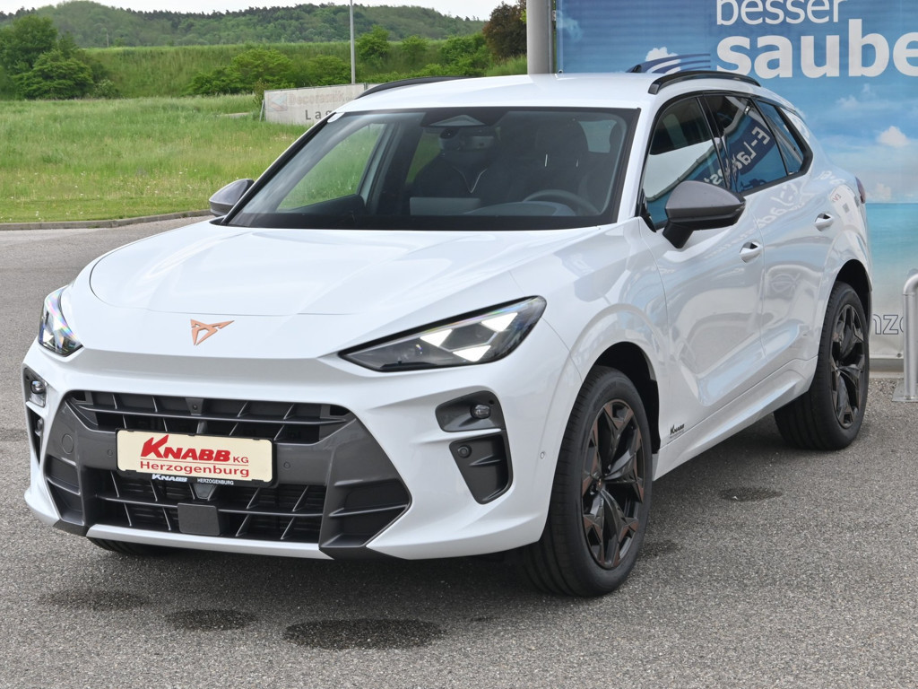Cupra Terramar 2025 Benzine
