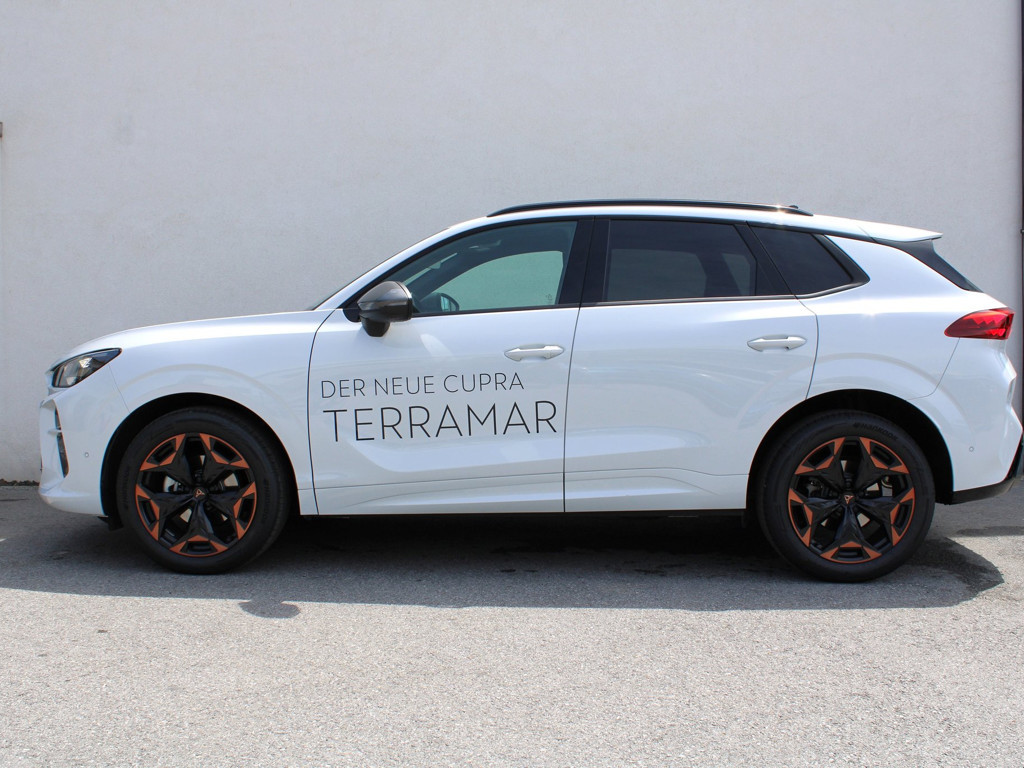 Cupra Terramar