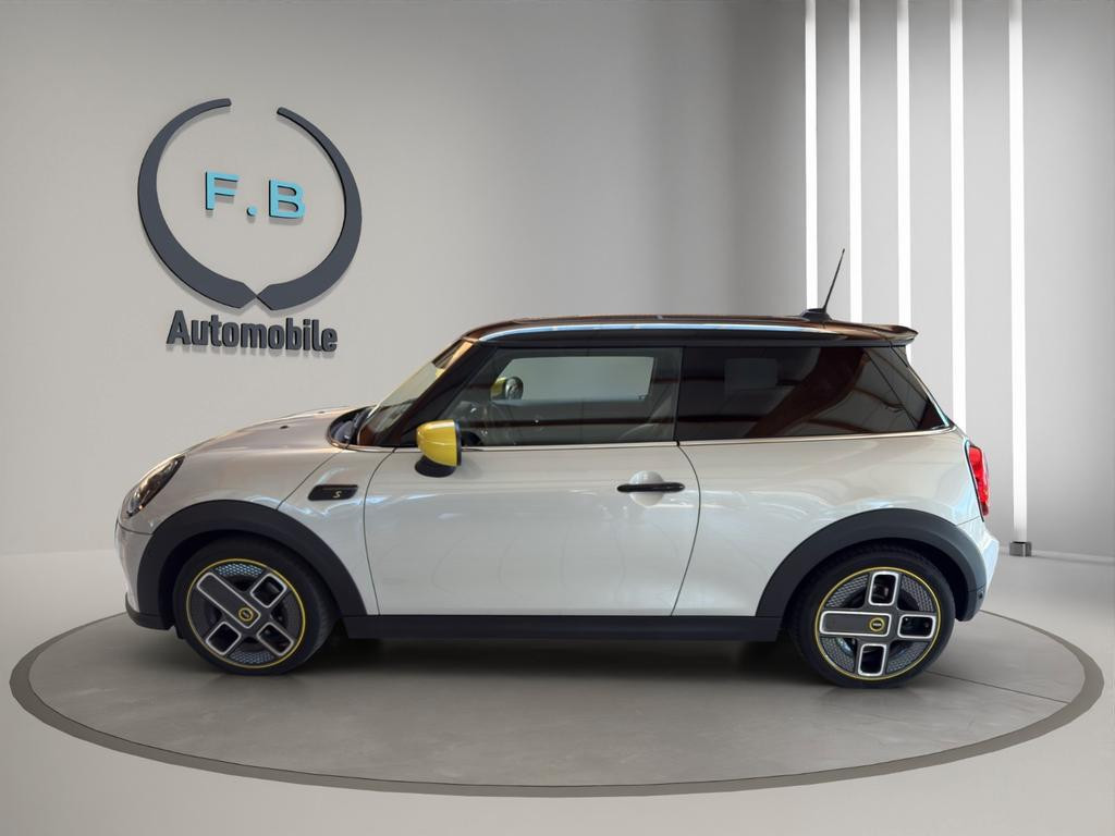 Mini Mini Electric