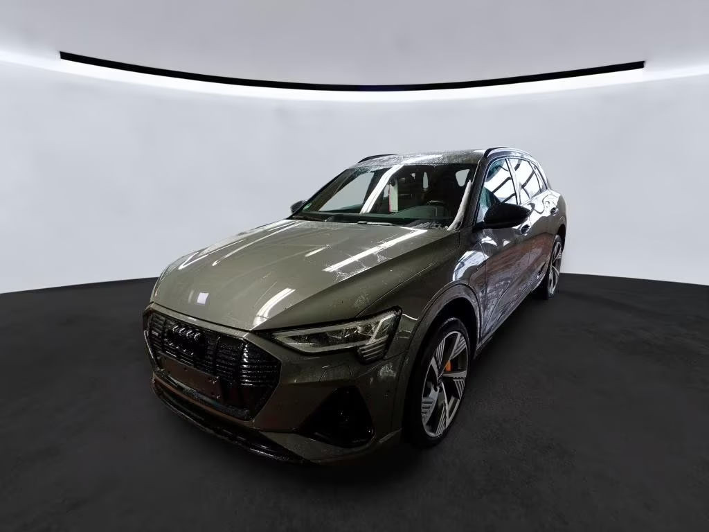 Audi e-tron 2022 Elektrisch