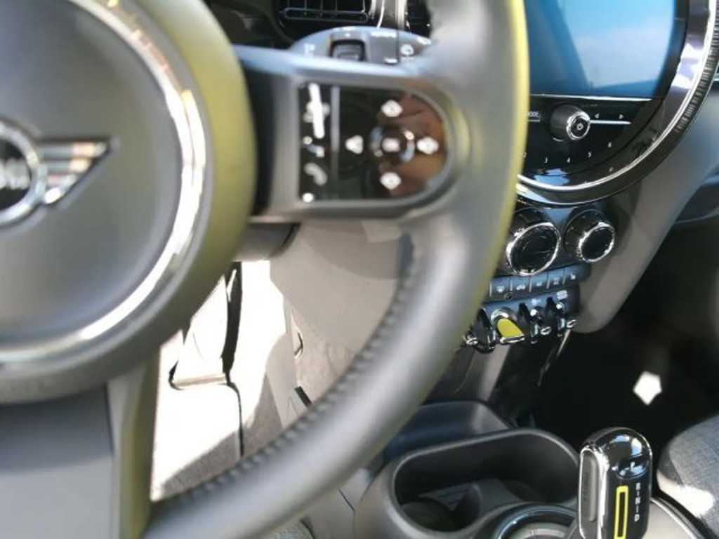 Mini Mini Electric