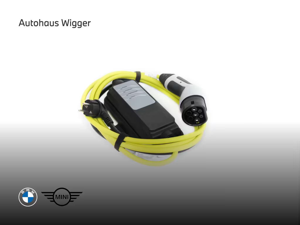 Mini Mini Electric