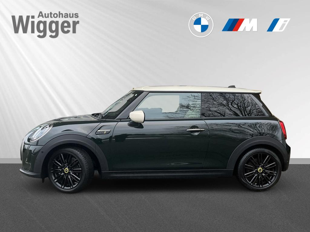 Mini Mini Electric