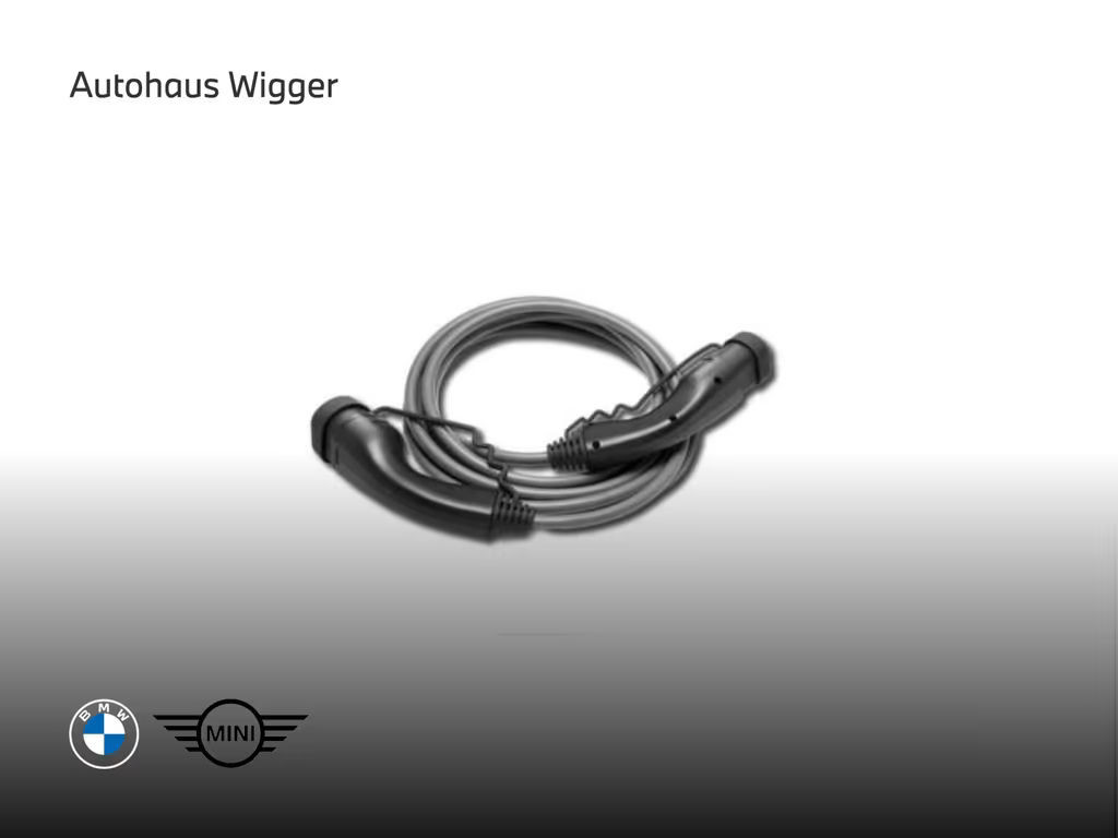 Mini Mini Electric