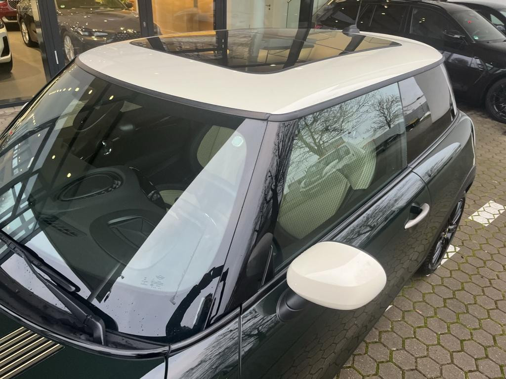 Mini Mini Electric
