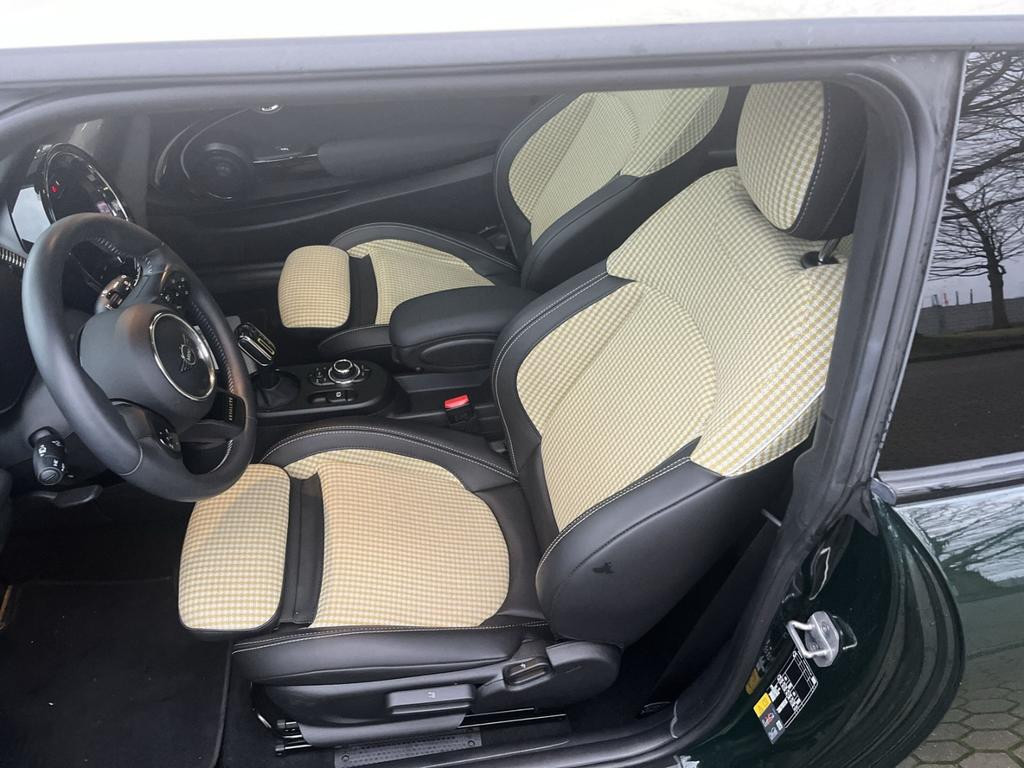Mini Mini Electric