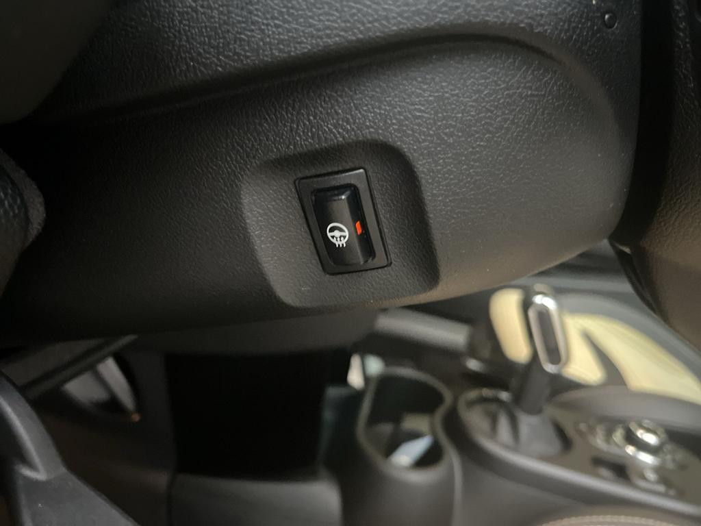 Mini Mini Electric