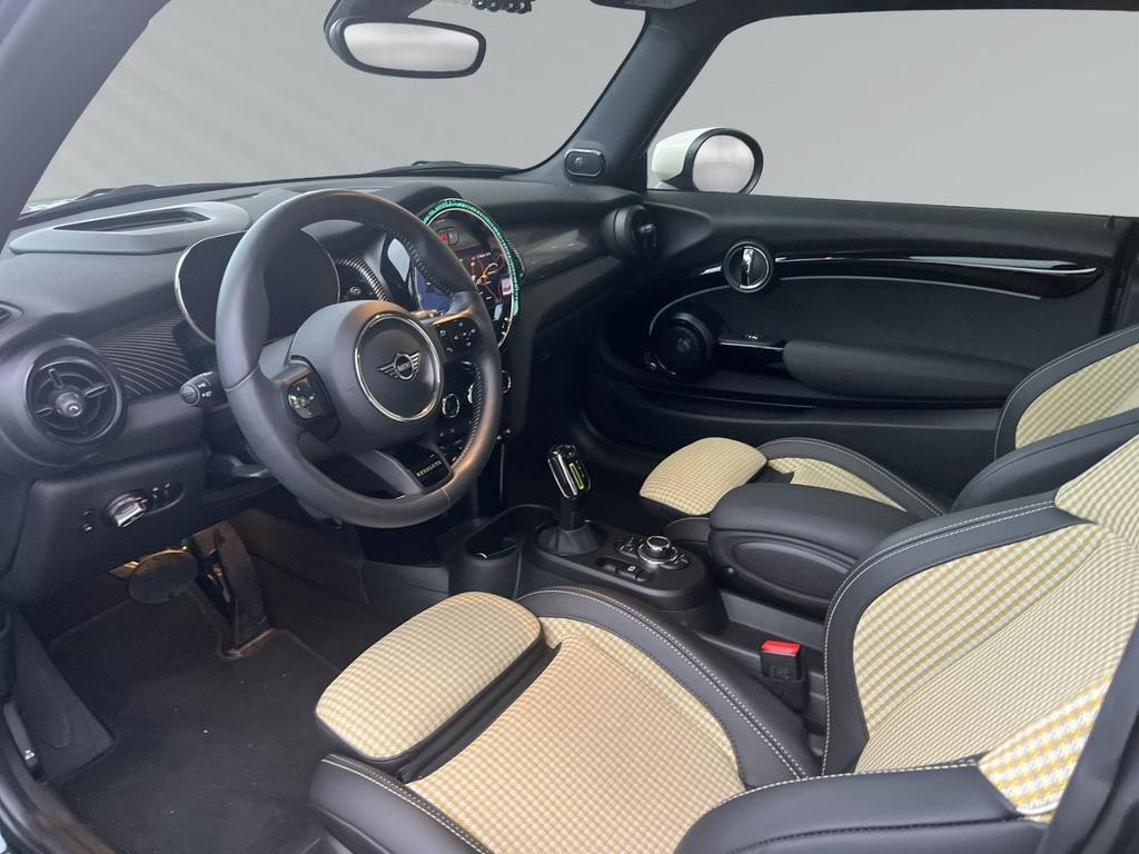 Mini Mini Electric