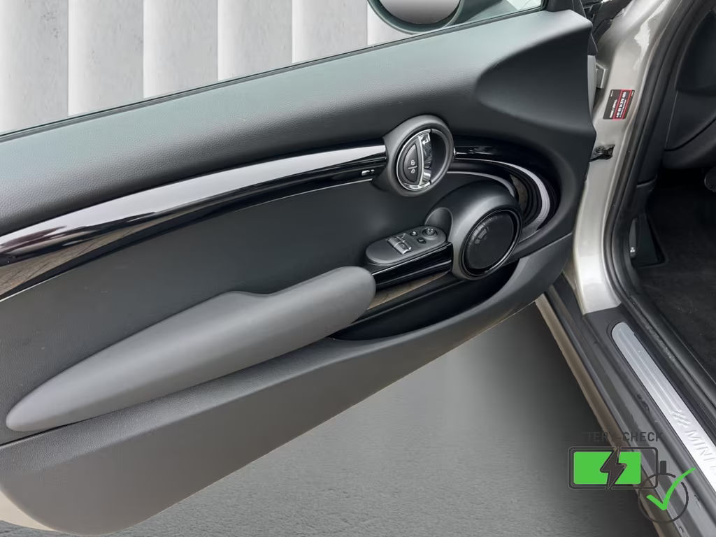 Mini Mini Electric
