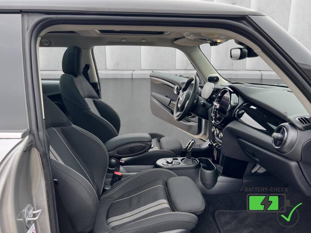 Mini Mini Electric