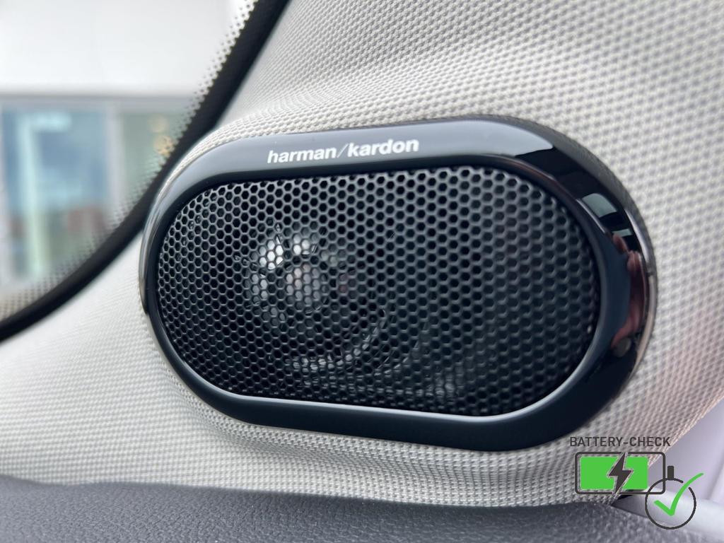 Mini Mini Electric