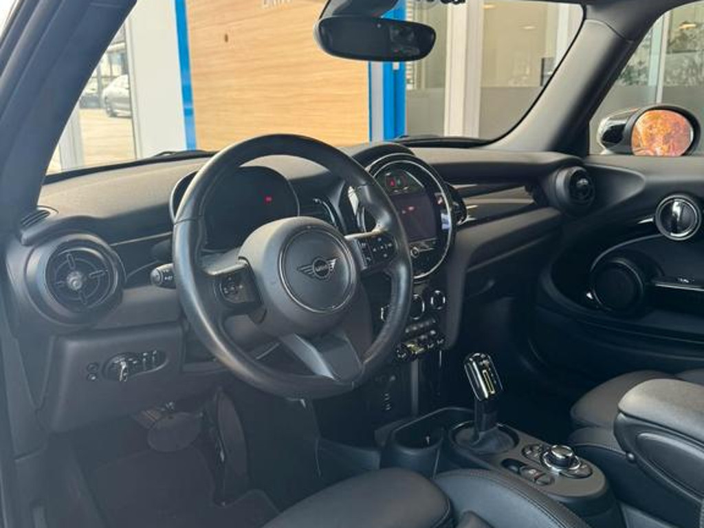 Mini Mini Electric
