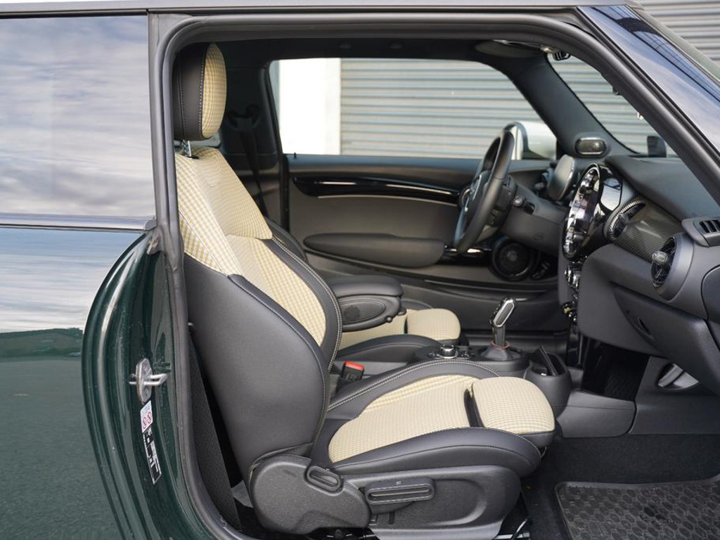 Mini Mini Electric