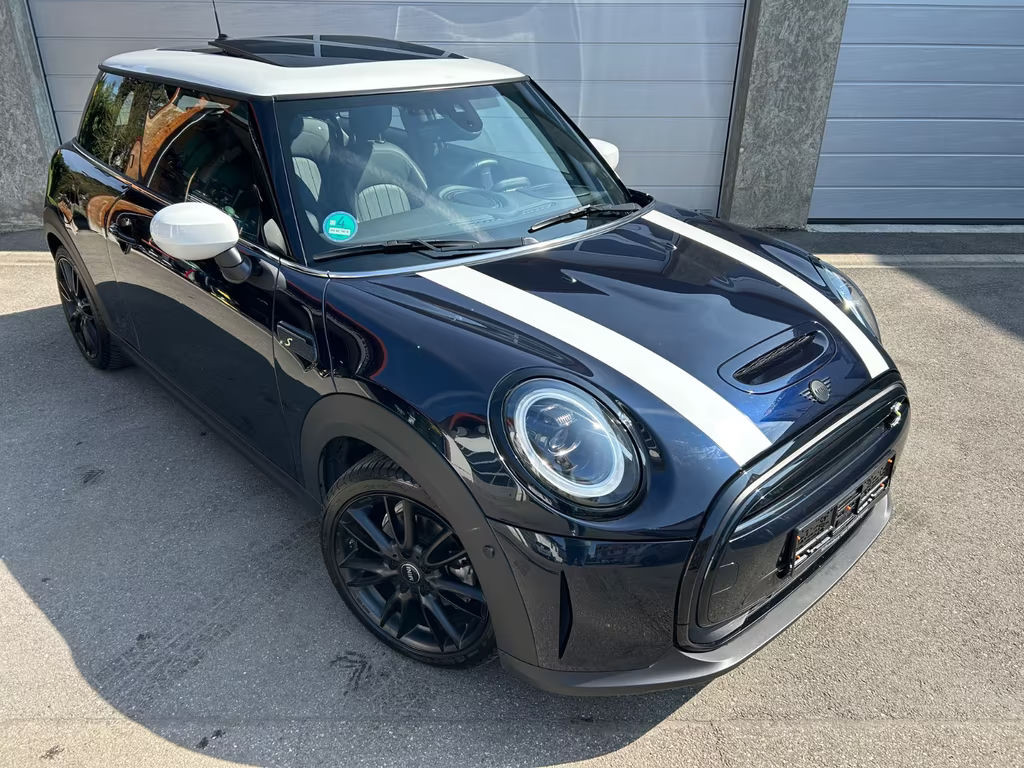 Mini Mini Electric