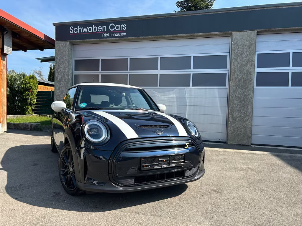 Mini Mini Electric