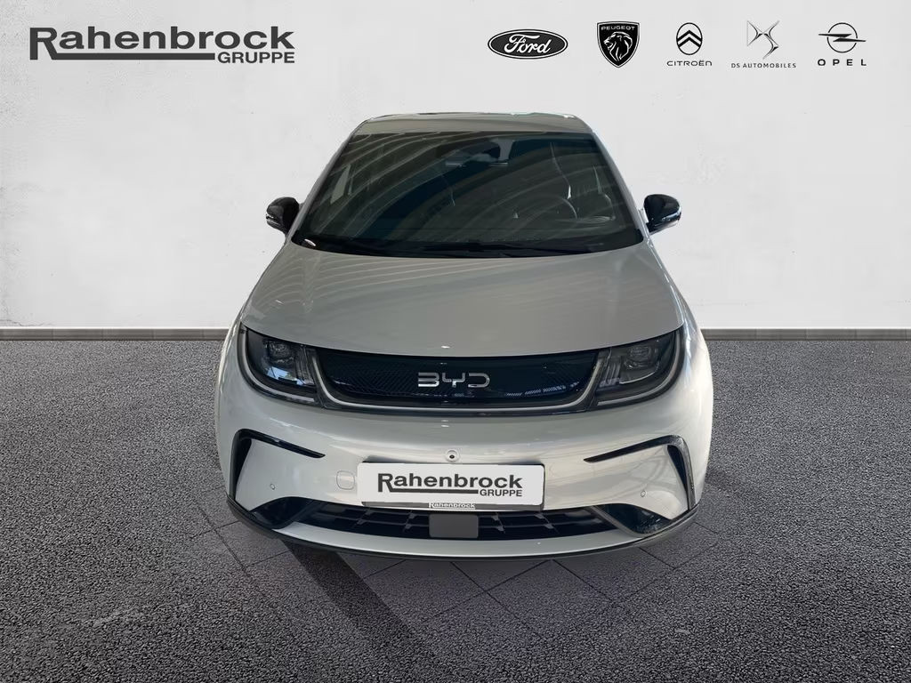 BYD Dolphin