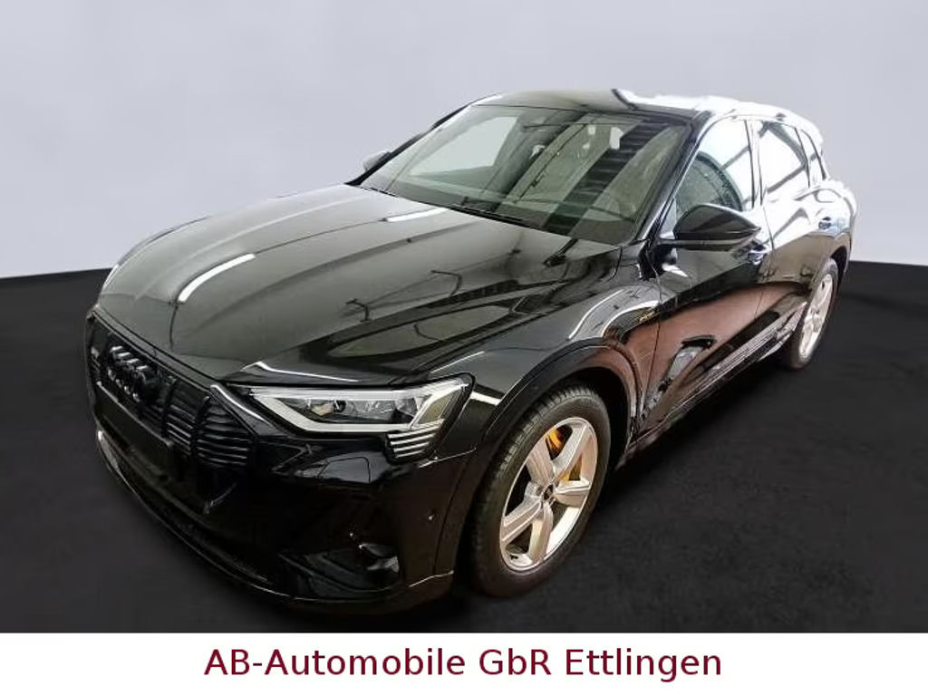 Audi e-tron 2023 Elektrisch