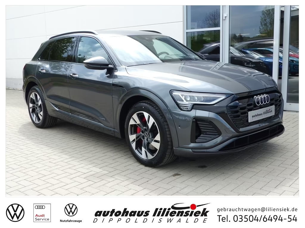 Audi Q8 e-tron 2023 Elektrisch
