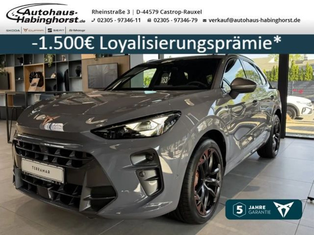 Cupra Terramar 2025 Benzine