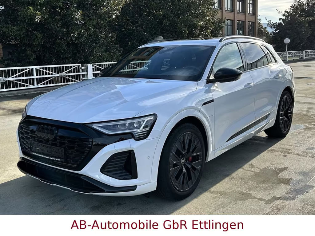 Audi Q8 e-tron 2023 Elektrisch