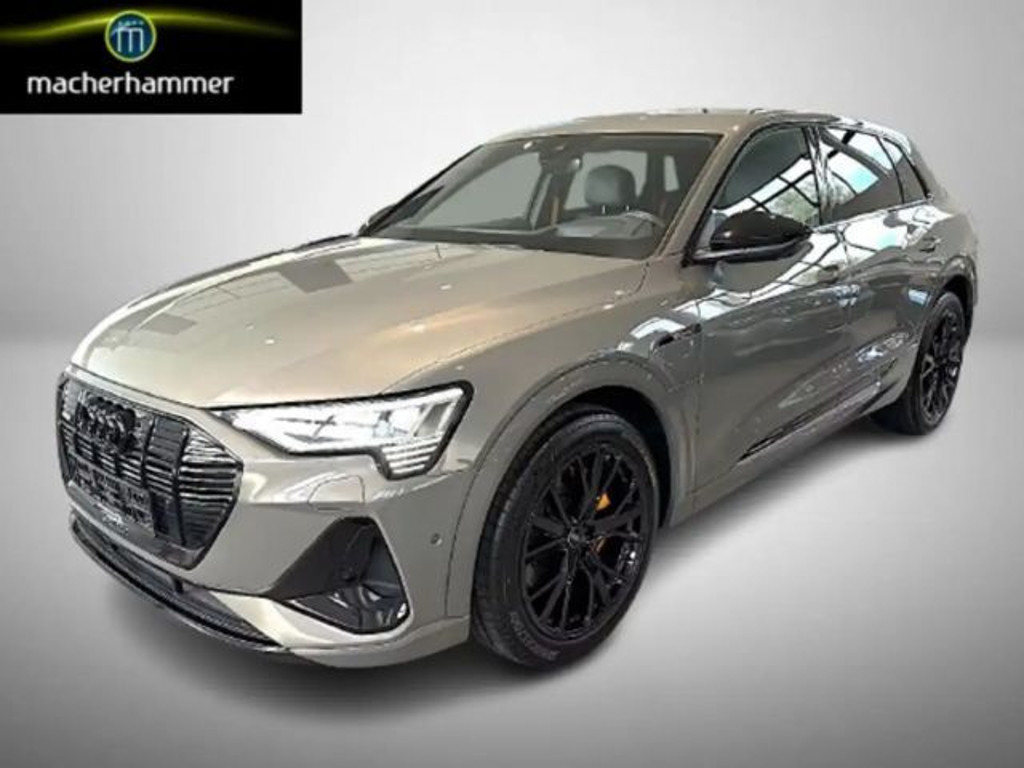 Audi e-tron 2022 Elektrisch