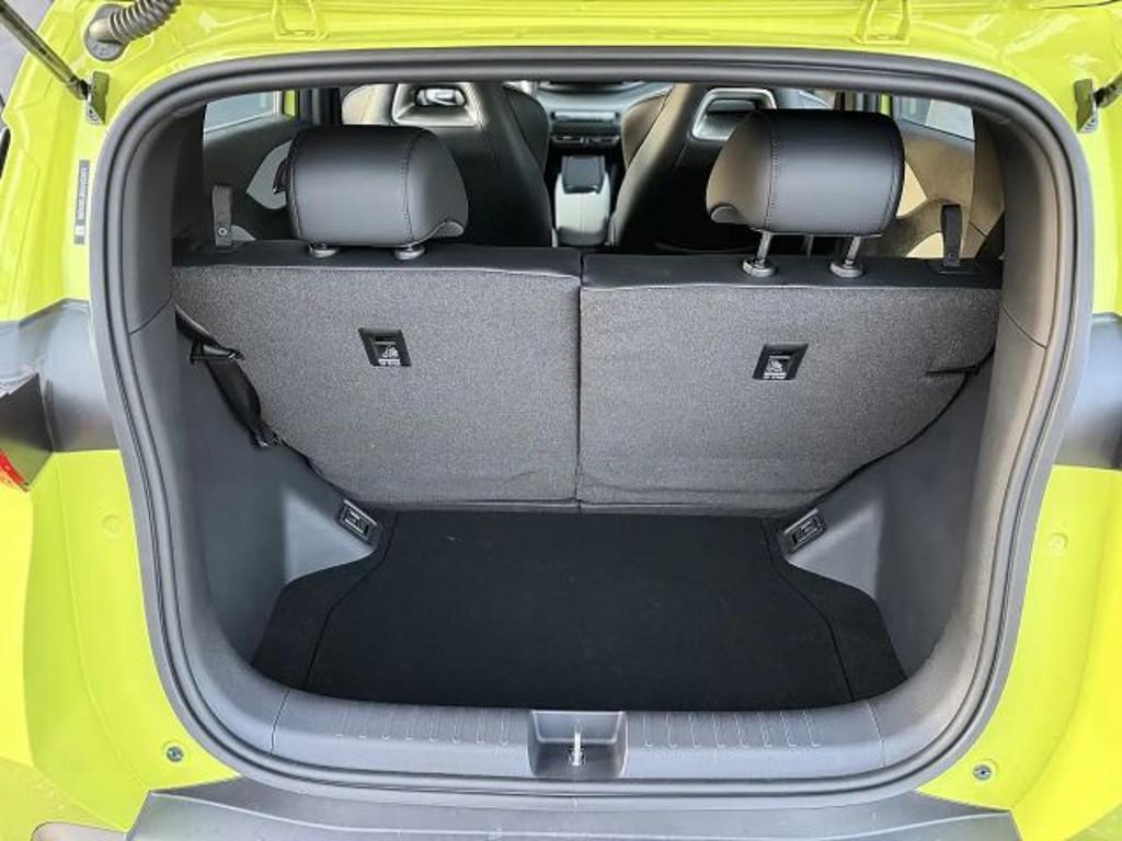 BYD Dolphin Surf