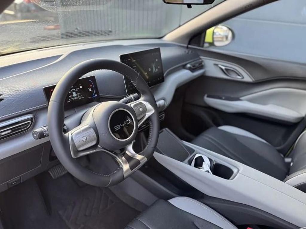 BYD Dolphin Surf