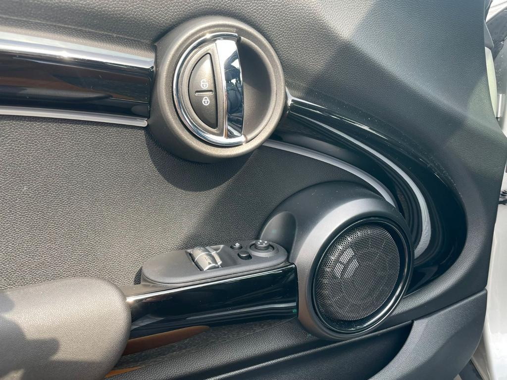 Mini Mini Electric