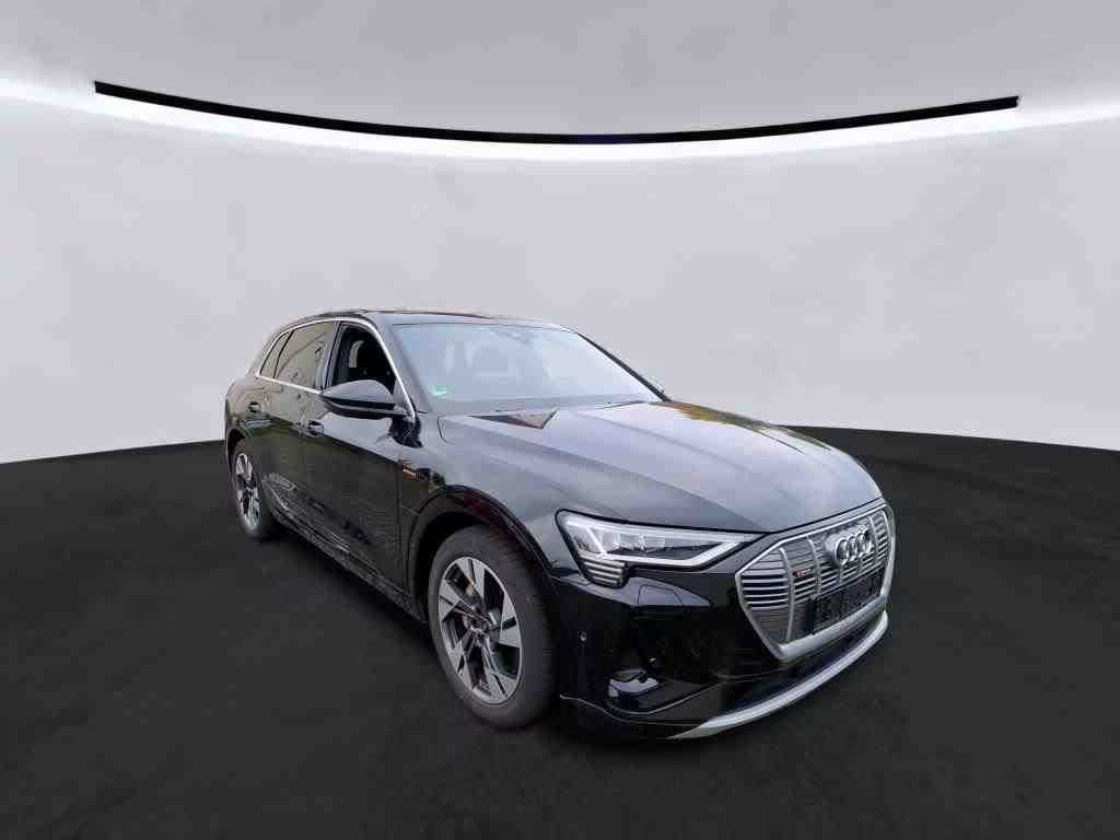Audi e-tron 2021 Elektrisch