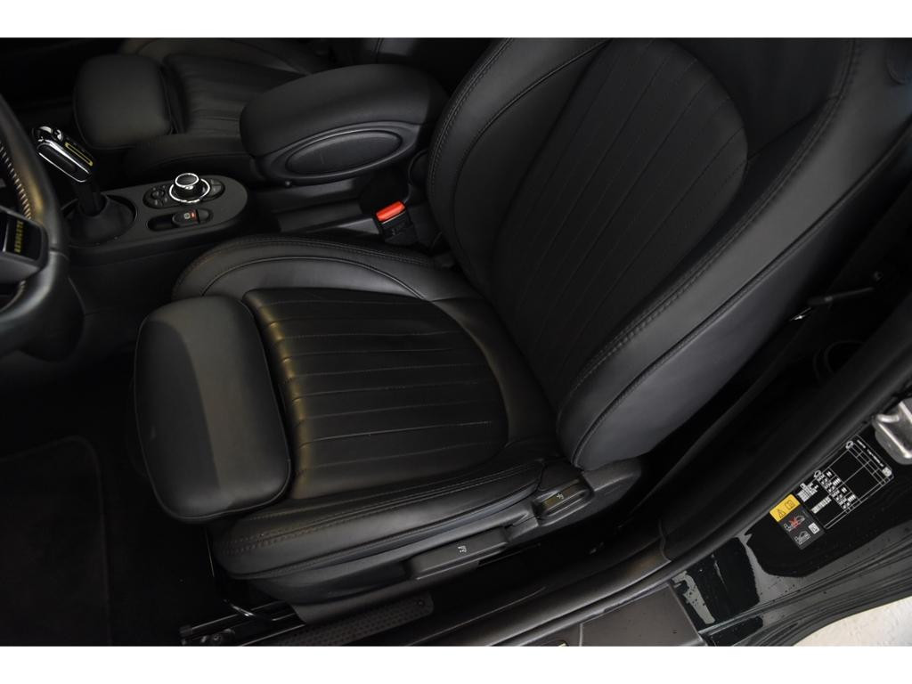 Mini Mini Electric