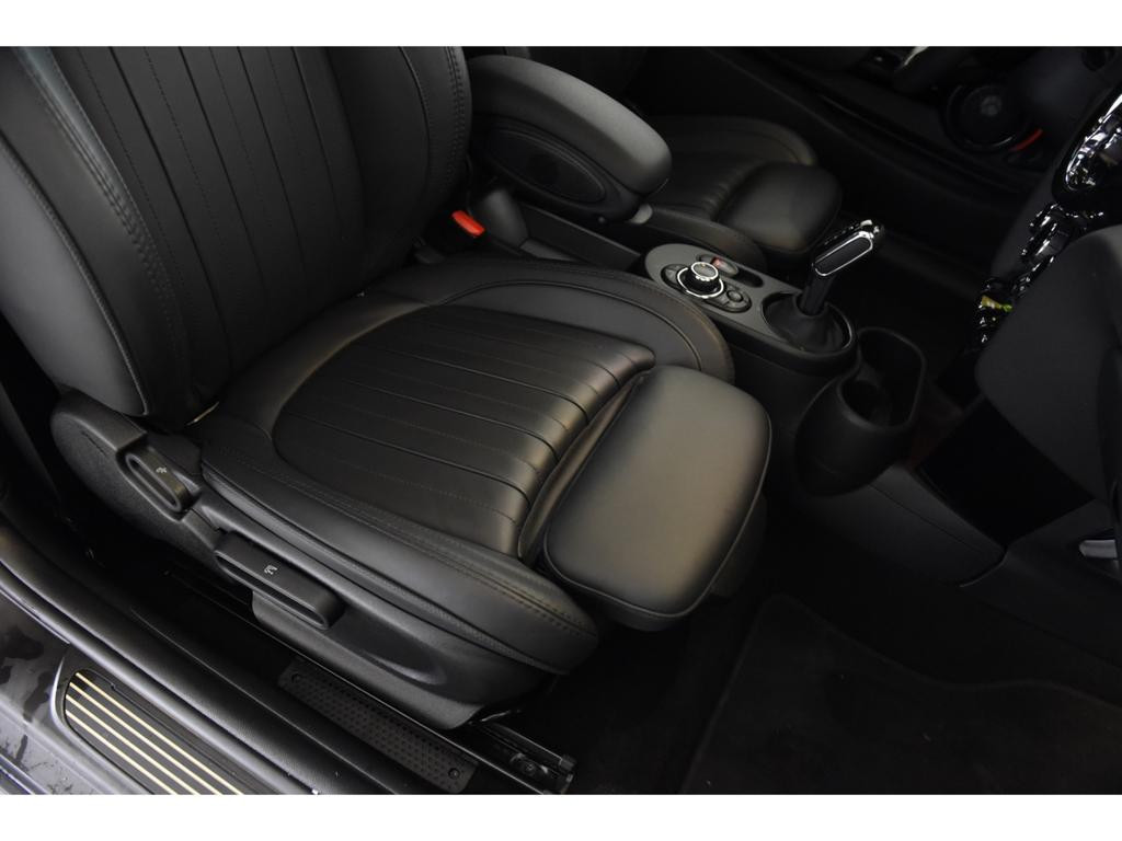 Mini Mini Electric
