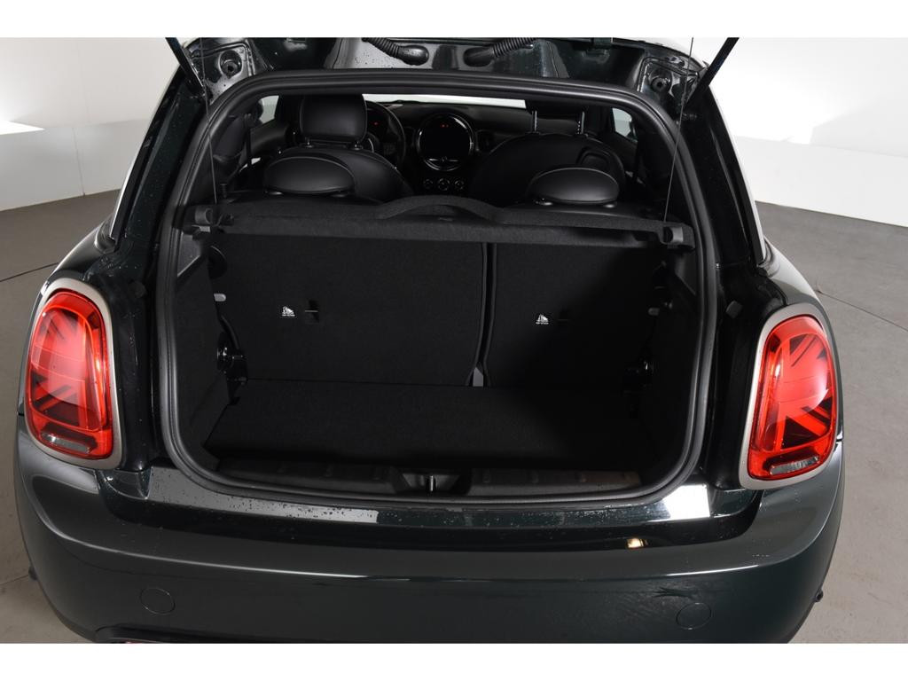 Mini Mini Electric