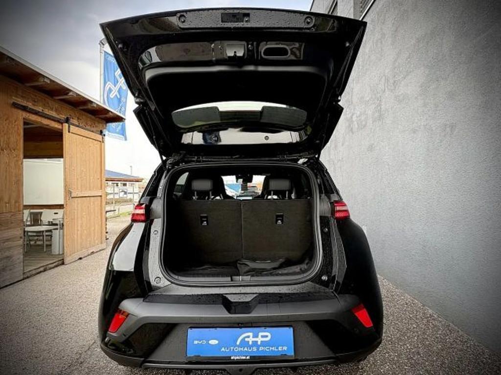 BYD Dolphin Surf