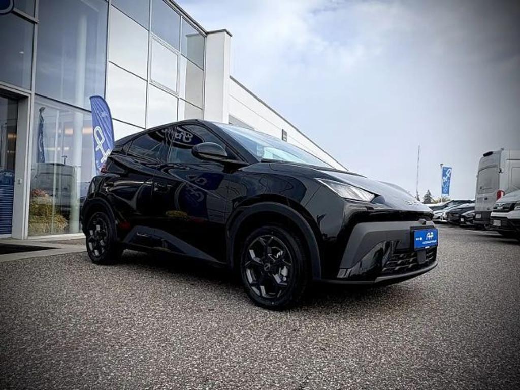 BYD Dolphin Surf