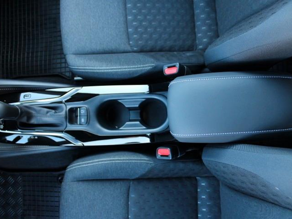 Suzuki Swace