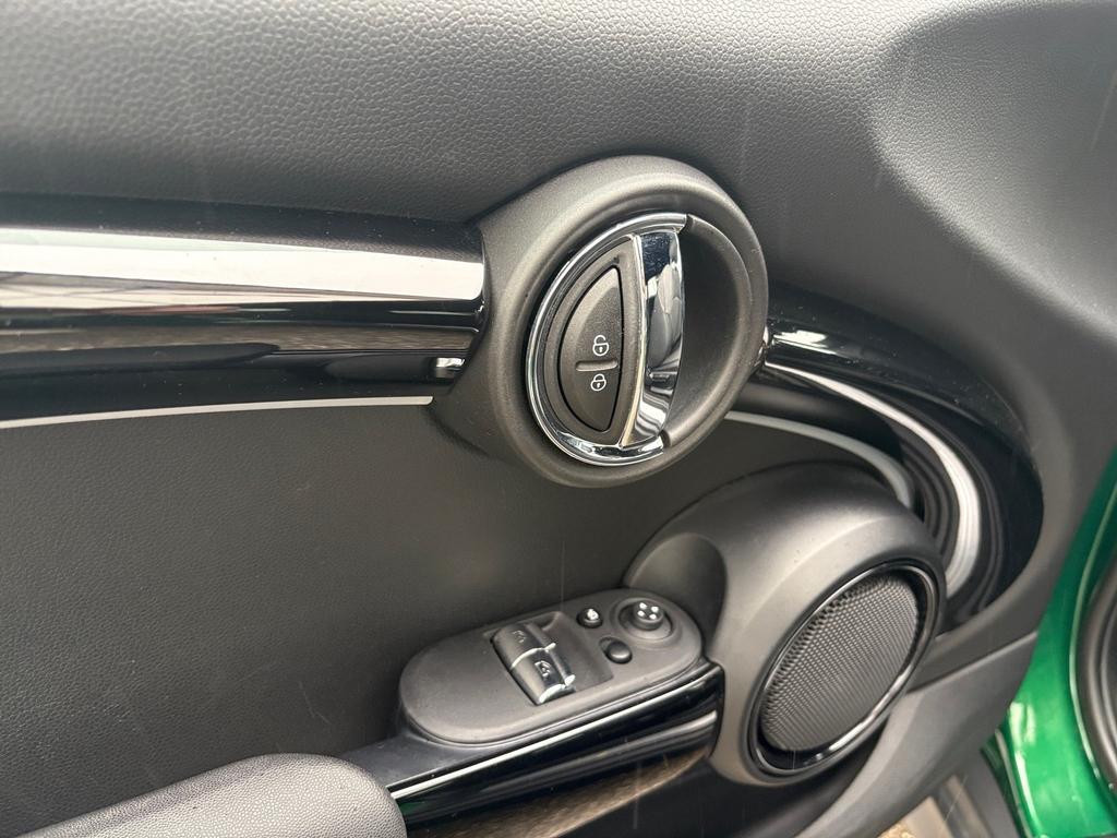 Mini Mini Electric